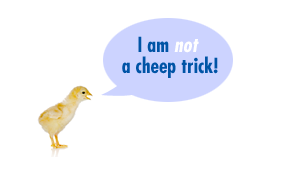 photo where chick speaks